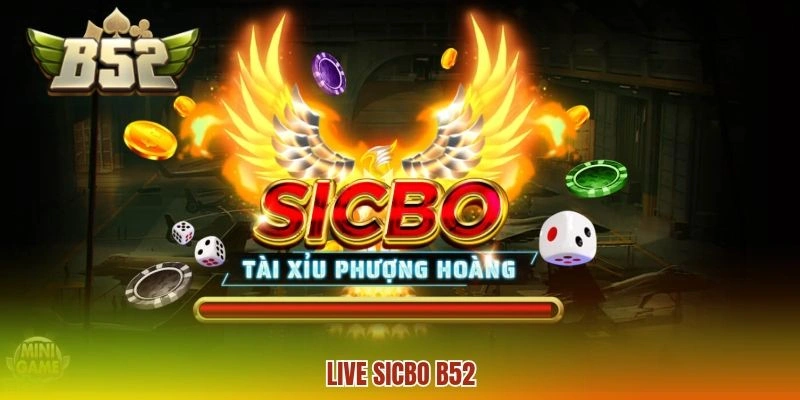 Live Sicbo B52 - Game Cược Đơn Giản Nhận Thưởng Siêu Khủng
